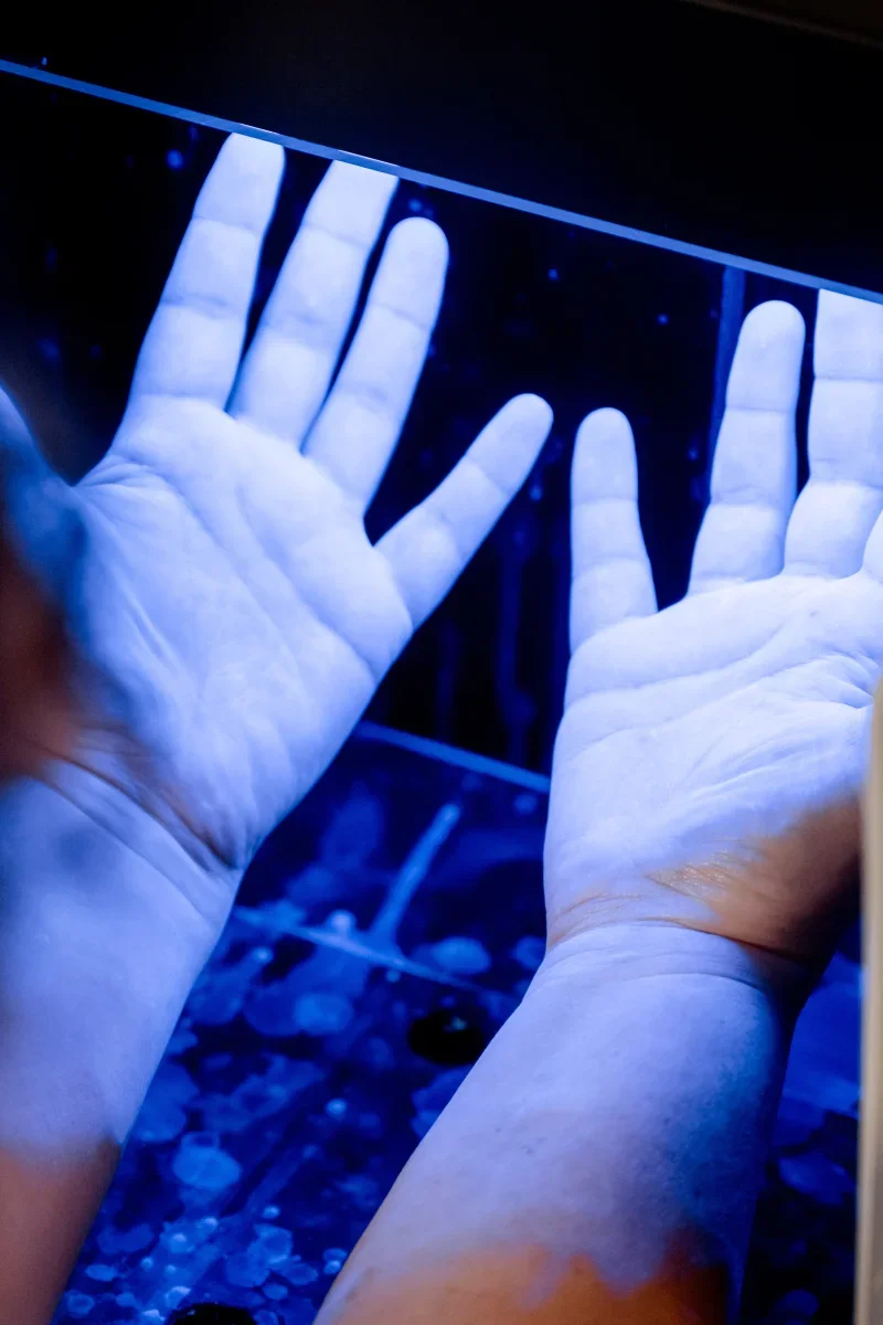 Hygienemanagement | 